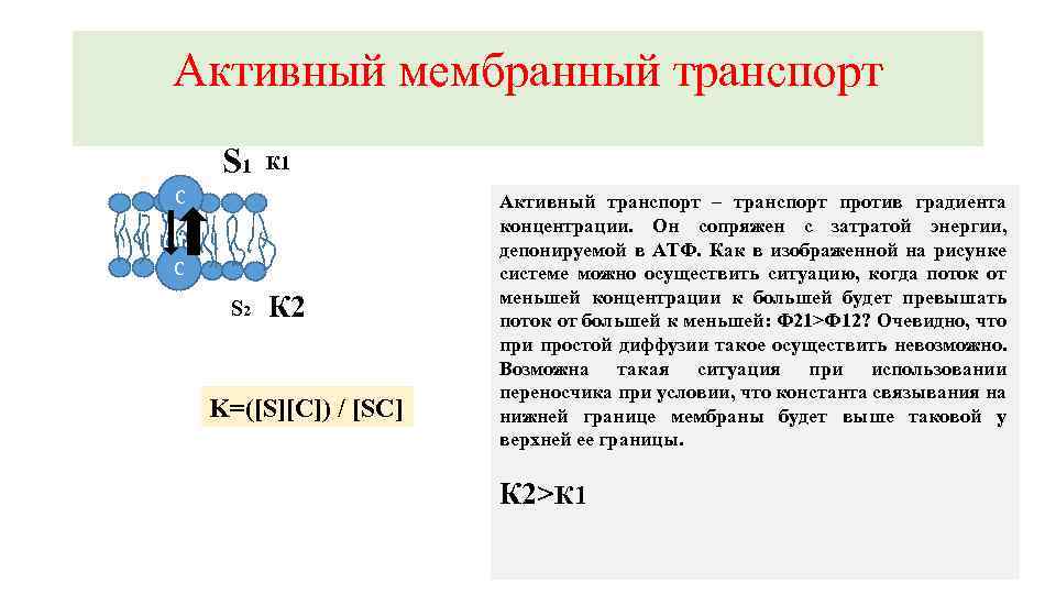 Активный мембранный транспорт S 1 К 1 С С S 2 К 2 K=([S][C])