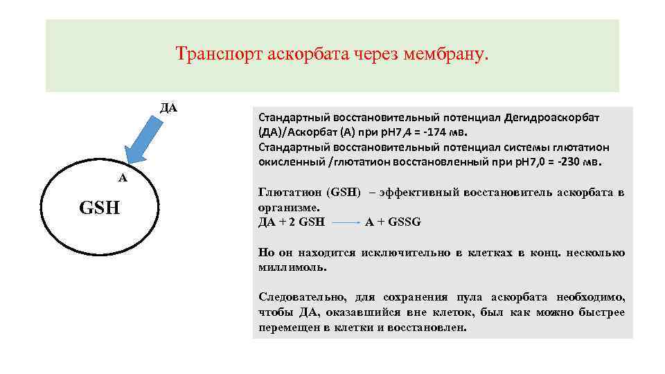 Транспорт аскорбата через мембрану. ДА Стандартный восстановительный потенциал Дегидроаскорбат (ДА)/Аскорбат (А) при р. Н