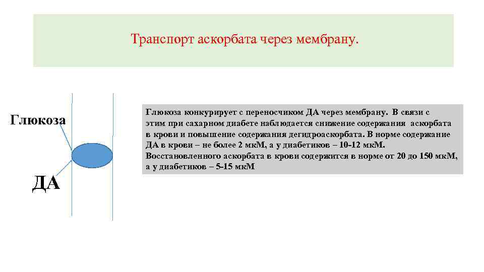 Транспорт аскорбата через мембрану. Глюкоза ДА Глюкоза конкурирует с переносчиком ДА через мембрану. В