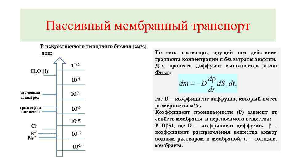 Пассивный мембранный транспорт Р искусственного липидного бислоя (см/с) для: Н 2 О (!) 10