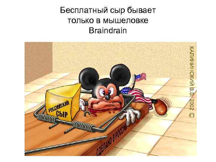 Бесплатный сыр бывает только в мышеловке Braindrain 