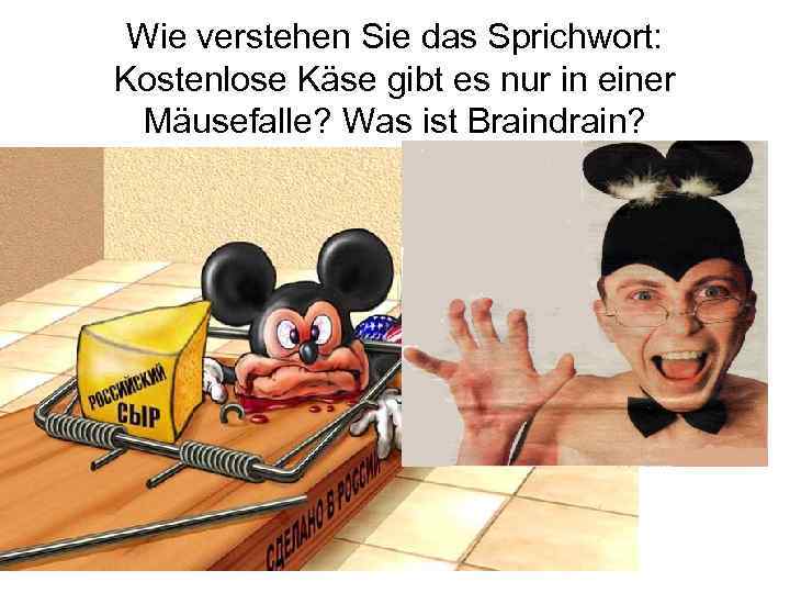 Wie verstehen Sie das Sprichwort: Kostenlose Käse gibt es nur in einer Mäusefalle? Was