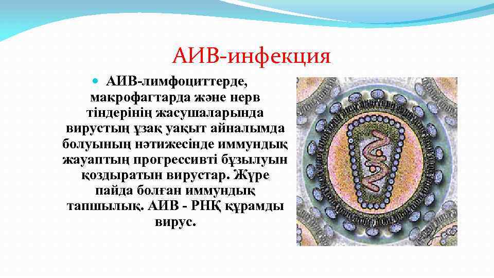 АИВ-инфекция АИВ-лимфоциттерде, макрофагтарда және нерв тіндерінің жасушаларында вирустың ұзақ уақыт айналымда болуының нәтижесінде иммундық