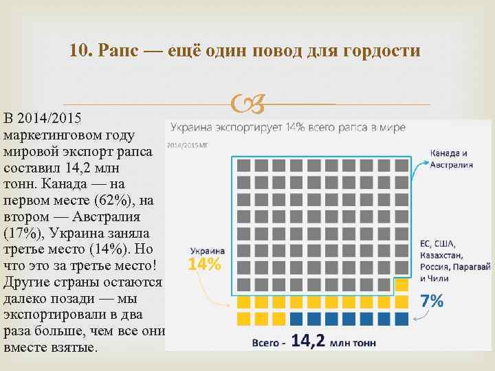 10. Рапс — ещё один повод для гордости В 2014/2015 маркетинговом году мировой экспорт