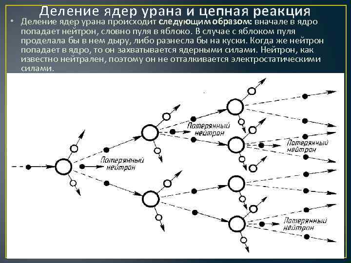 Деление ядер урана и цепная реакция • Деление ядер урана происходит следующим образом: вначале