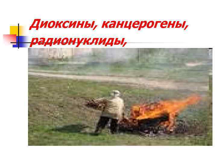 Диоксины, канцерогены, радионуклиды, 