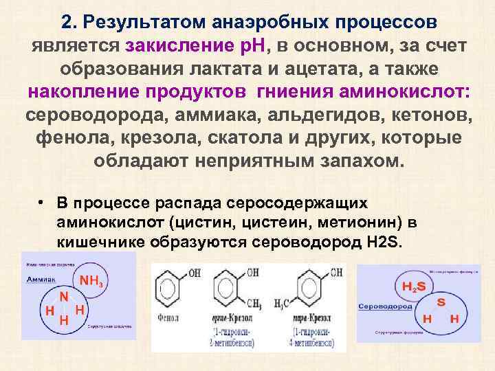 2. Результатом анаэробных процессов является закисление р. Н, в основном, за счет образования лактата