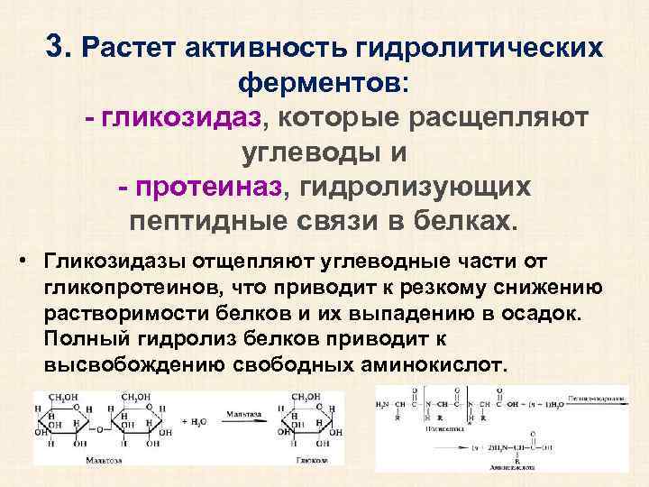 Наличие гидролитических ферментов