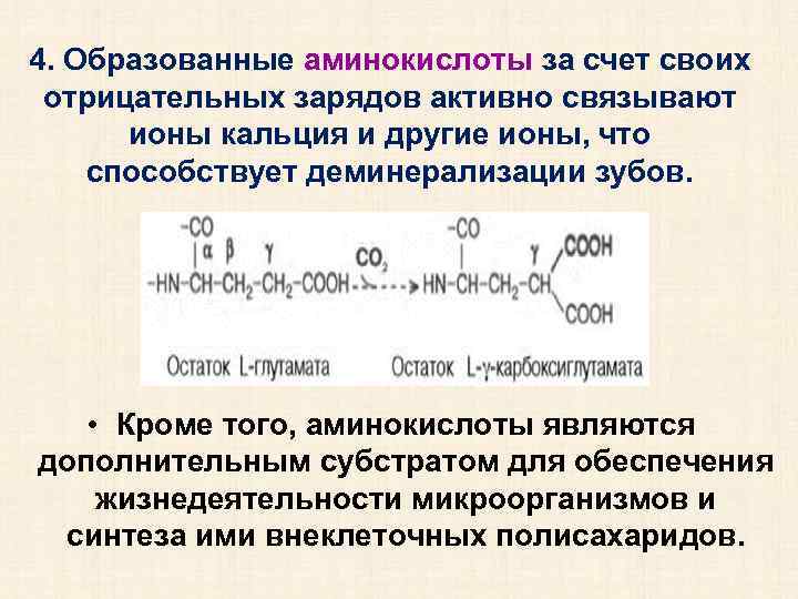 4. Образованные аминокислоты за счет своих отрицательных зарядов активно связывают ионы кальция и другие