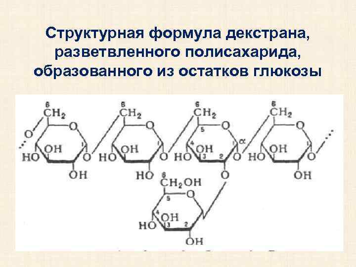 Структурная формула декстрана, разветвленного полисахарида, образованного из остатков глюкозы 