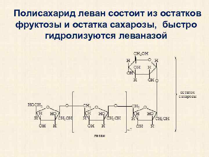 Полисахарид леван состоит из остатков фруктозы и остатка сахарозы, быстро гидролизуются леваназой 