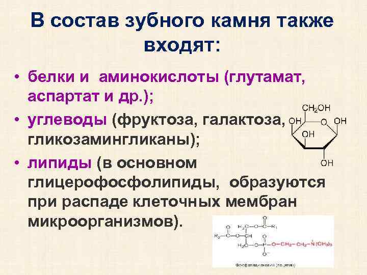 В состав зубного камня также входят: • белки и аминокислоты (глутамат, аспартат и др.