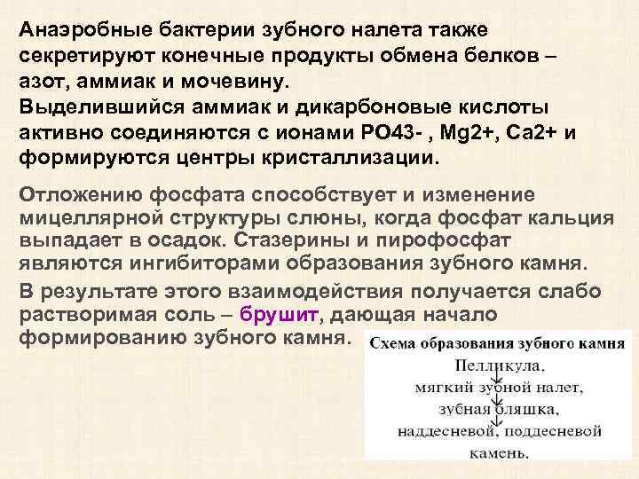 Анаэробные бактерии зубного налета также секретируют конечные продукты обмена белков – азот, аммиак и