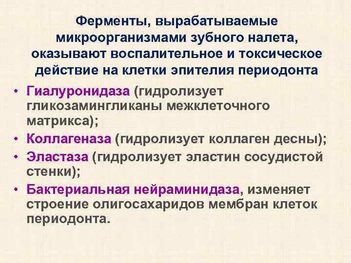 Ферменты, вырабатываемые микроорганизмами зубного налета, оказывают воспалительное и токсическое действие на клетки эпителия периодонта