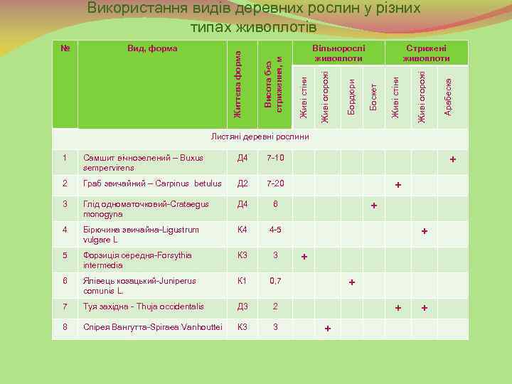 Арабеска Живі огорожі Живі стіни Стрижені живоплоти Боскет Бордюри Живі огорожі Вільнорослі живоплоти Живі