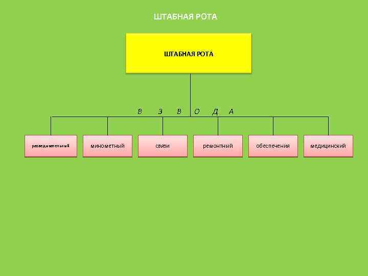 ШТАБНАЯ РОТА В разведывательный минометный З связи В О Д А ремонтный обеспечения медицинский