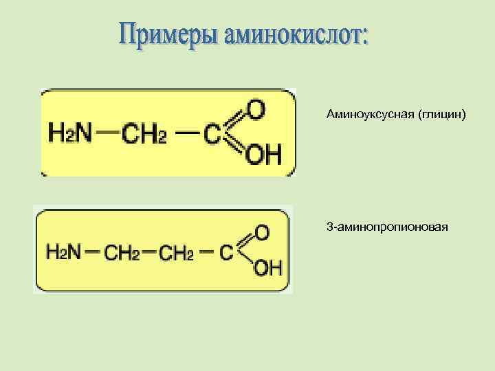 Аминоуксусная (глицин) 3 -аминопропионовая 