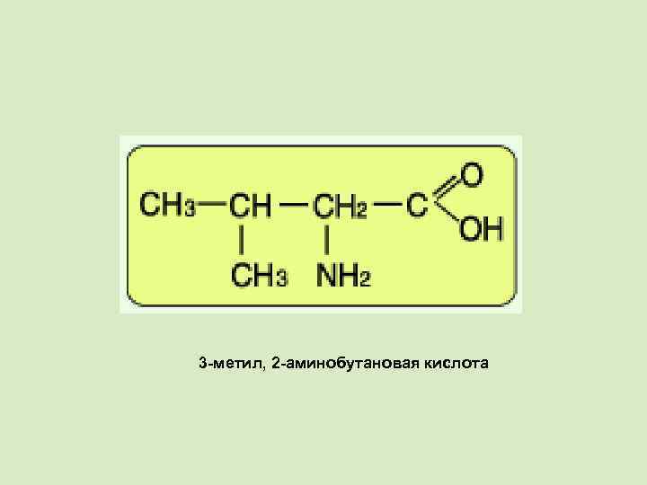 3 -метил, 2 -аминобутановая кислота 