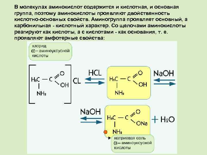 В молекулах аминокислот содержится и кислотная, и основная группа, поэтому аминокислоты проявляют двойственность кислотно-основных