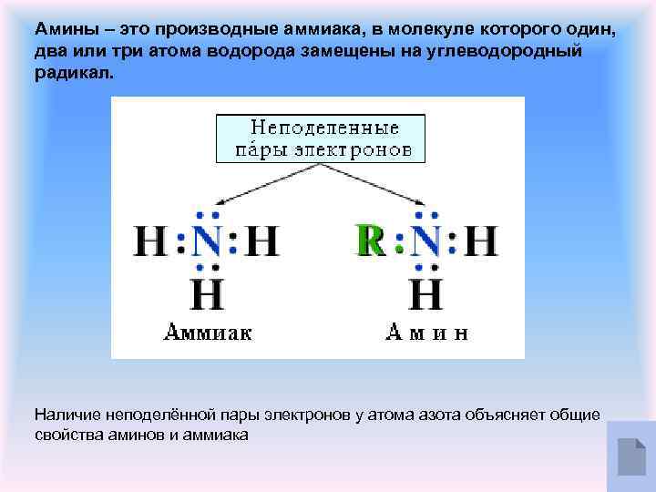 Амины – это производные аммиака, в молекуле которого один, два или три атома водорода