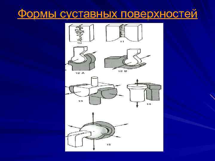 Формы суставных поверхностей 