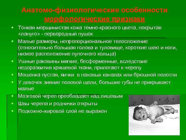 Анатомо-физиологические особенности морфологические признаки § Тонкая морщинистая кожа темно-красного цвета, покрытая «лануго» - первородный