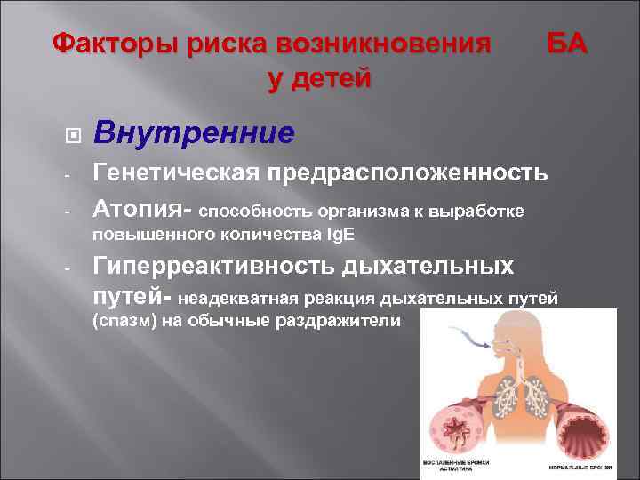 Факторы риска возникновения у детей - БА Внутренние Генетическая предрасположенность Атопия- способность организма к