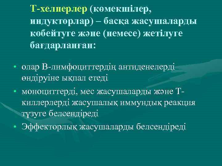 Т-хелперлер (көмекшілер, индукторлар) – басқа жасушаларды көбейтуге және (немесе) жетілуге бағдарланған: • олар В-лимфоциттердің