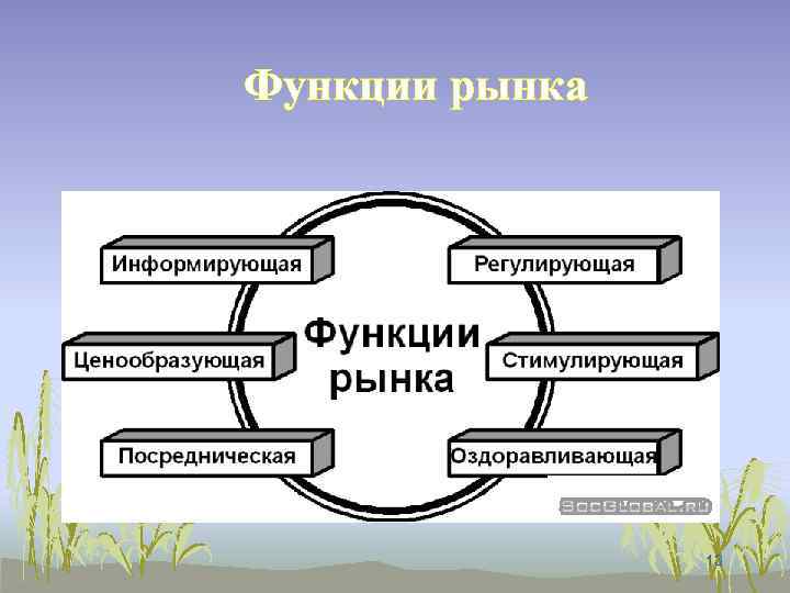 Функции рынка 13 