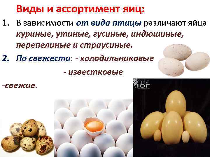 Виды и ассортимент яиц: 1. В зависимости от вида птицы различают яйца куриные, утиные,
