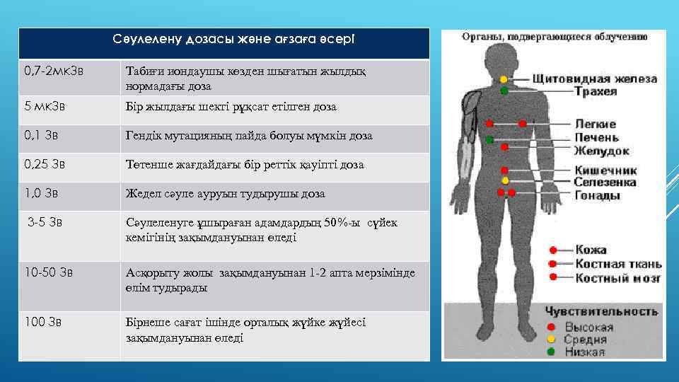 Cәулелену дозасы және ағзаға әсері 0, 7 -2 мк. Зв Табиғи иондаушы көзден шығатын