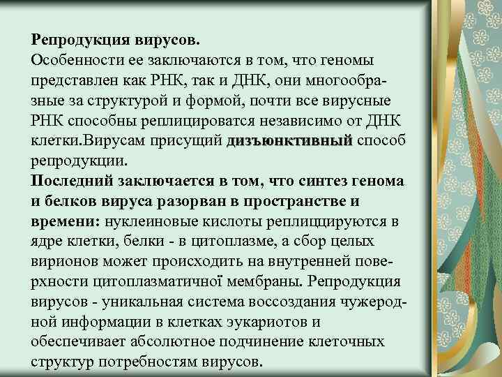 Репродукция вирусов. Особенности ее заключаются в том, что геномы представлен как РНК, так и