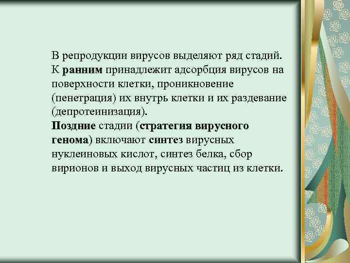 В репродукции вирусов выделяют ряд стадий. К ранним принадлежит адсорбция вирусов на поверхности клетки,