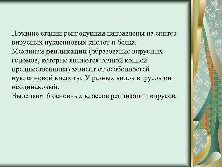 Поздние стадии репродукции направлены на синтез вирусных нуклеиновых кислот и белка. Механизм репликации (образование