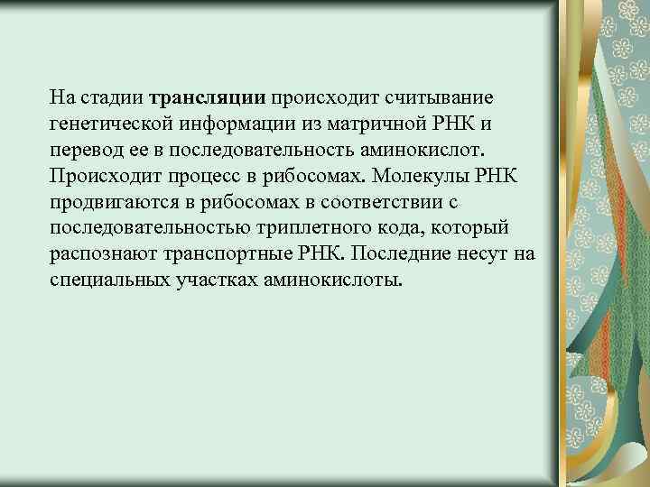 На стадии трансляции происходит считывание генетической информации из матричной РНК и перевод ее в