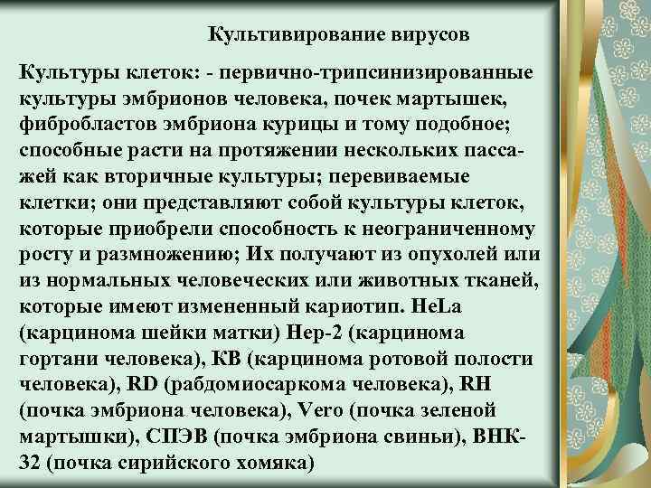 Культивирование вирусов Культуры клеток: - первично-трипсинизированные культуры эмбрионов человека, почек мартышек, фибробластов эмбриона курицы