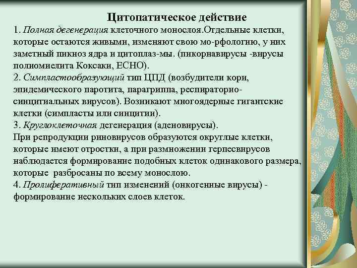 Цпд вируса это. Цитопатическое действие вируса полиомиелита. Цитопатическое действие. Цитопатическое действие вирусов характеристика.