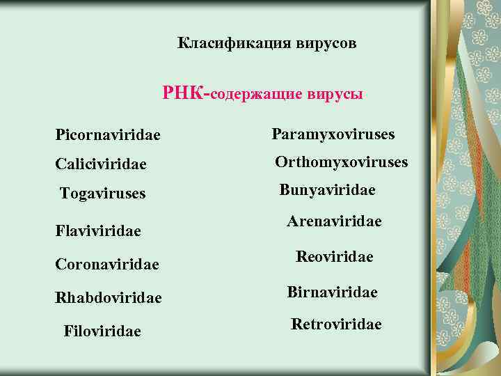 Класификация вирусов РНК-содержащие вирусы Picornaviridae Paramyxoviruses Caliciviridae Orthomyxoviruses Togaviruses Bunyaviridae Flaviviridae Arenaviridae Coronaviridae Reoviridae