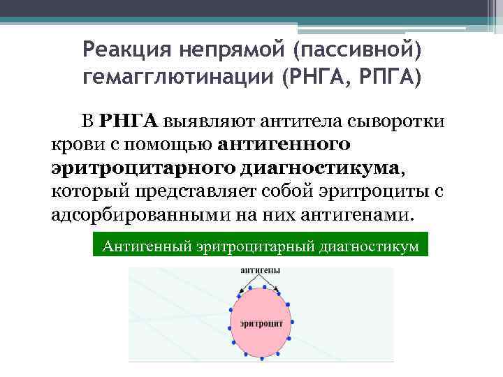 Метод парных сывороток. Метод парных сывороток микробиология. Исследование парных сывороток. Реакция непрямой (пассивной) гемагглютинации. Реакция непрямой (пассивной) гемагглютинации (РНГА, РПГА).