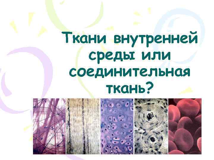 Ткани внутренней среды или соединительная ткань? 
