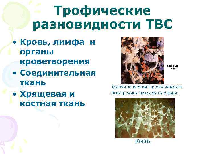 Трофические разновидности ТВС • Кровь, лимфа и органы кроветворения • Соединительная ткань • Хрящевая