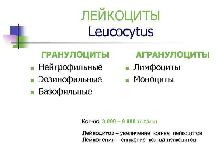 ЛЕЙКОЦИТЫ Leucocytus n n n ГРАНУЛОЦИТЫ Нейтрофильные Эозинофильные Базофильные n n АГРАНУЛОЦИТЫ Лимфоциты Моноциты