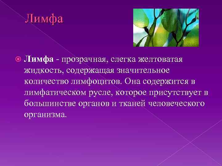 Лимфа - прозрачная, слегка желтоватая жидкость, содержащая значительное количество лимфоцитов. Она содержится в лимфатическом