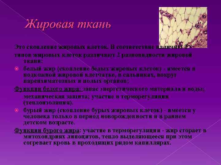 Жировая ткань Это скопление жировых клеток. В соответствие наличию 2 типов жировых клеток различают