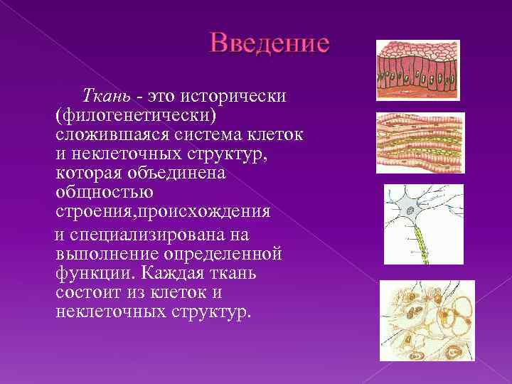 Неклеточные структуры гистология