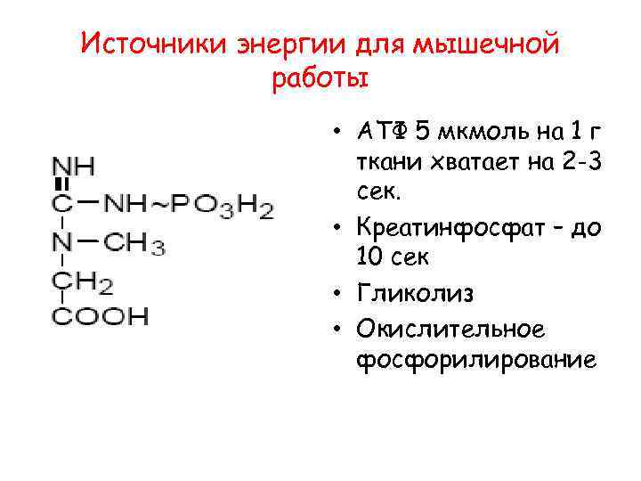 Источники энергии для мышечной работы • АТФ 5 мкмоль на 1 г ткани хватает