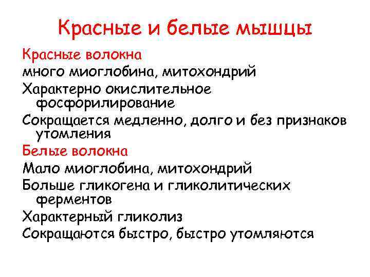 Красные и белые мышцы Красные волокна много миоглобина, митохондрий Характерно окислительное фосфорилирование Сокращается медленно,