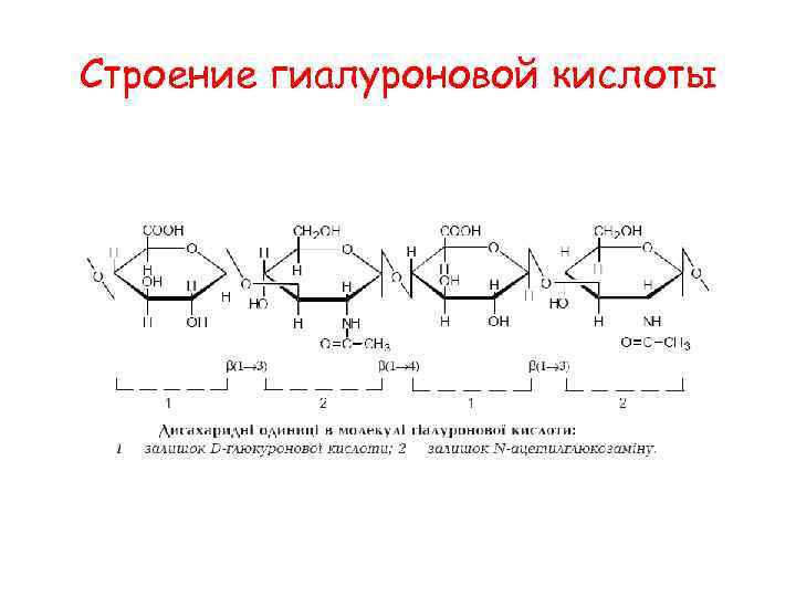 Строение гиалуроновой кислоты 