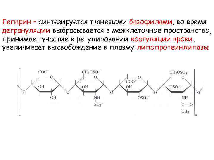 Гепарин – синтезируется тканевыми базофилами, во время дегрануляции выбрасывается в межклеточное пространство, принимает участие