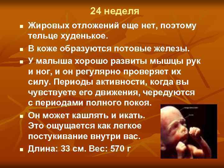 24 неделя n n n Жировых отложений еще нет, поэтому тельце худенькое. В коже